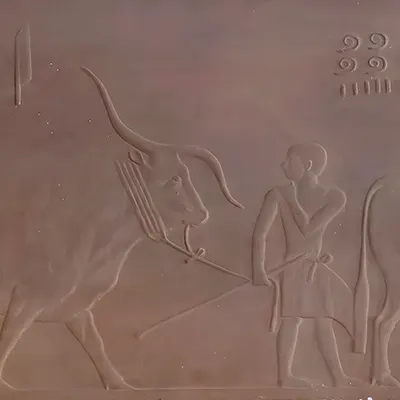 HUESO DE LORTHET